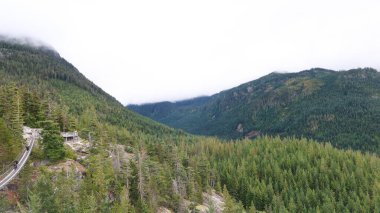 Deniz 'den Gök Gondol' a, Squamish 'e, Britanya Kolumbiyası' na, Kanada 'ya - 9 Ekim 2025: insanlar asma köprüde yürüyor ve yeşil ağaçlar gündüz ormanlık dağda.