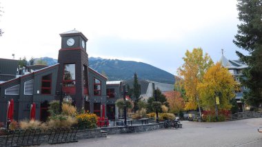 High Mountain Bira Şirketi, Whistler Village, Whistler, British Columbia, Kanada - 9 Ekim 2025: yanında sarı akçaağaç yaprağı ağacı olan şarap imalathanesi