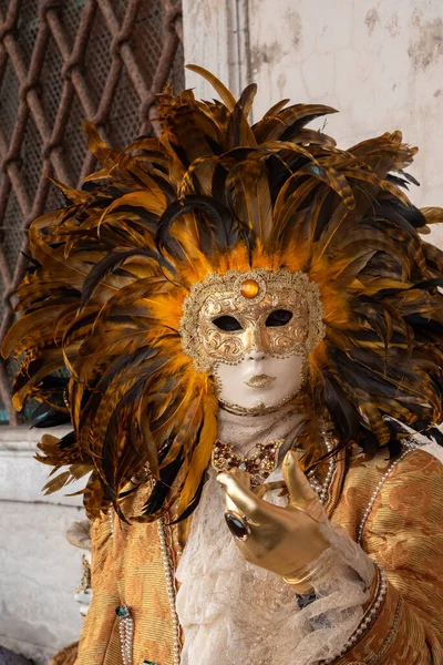 Carnevale di Venezia, İtalya 'da düzenlenen ve maskeleri, kostümleri ve halka açık kutlamalarıyla bilinen iki haftalık ünlü bir festivaldir..