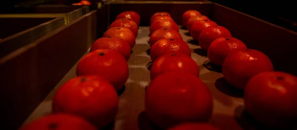 Milan, Lombardia, İtalya Fuarı 2015, 25 Ekim 2015