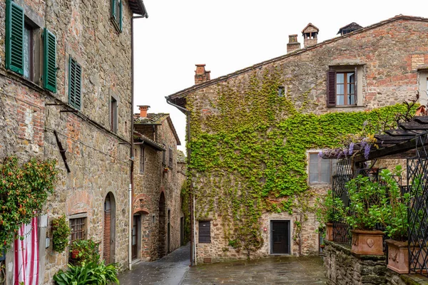 Greve in chianti, Firenze, Toscana, Italy 
