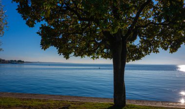 Garda Gölü, Bardolino, Verona, Veneto, İtalya