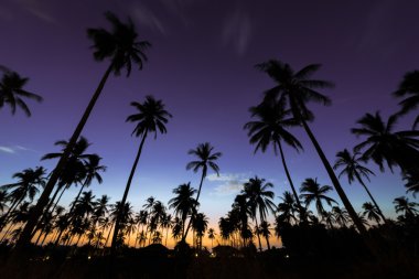 avuç içi günbatımı