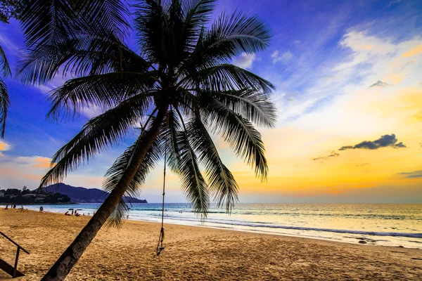 Sahilde bir salıncak ile palmiye