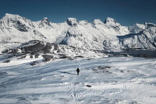 在挪威塞尼哈岛 登山者正在雪山上与山脉同行 — 图库照片