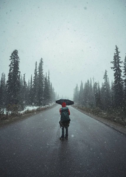 Hátizsákos Férfi Esernyővel Áll Hóviharban Úton Fenyőerdőben Banff Nemzeti Park — Stock Fotó