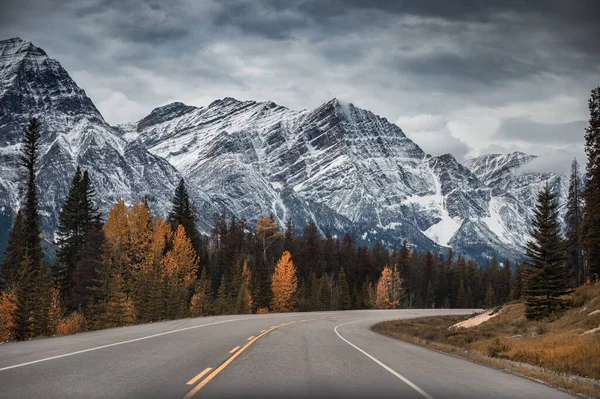 Viagem Carro Com Montanhas Rochosas Floresta Outono Parque Nacional Banff — Fotografia de Stock