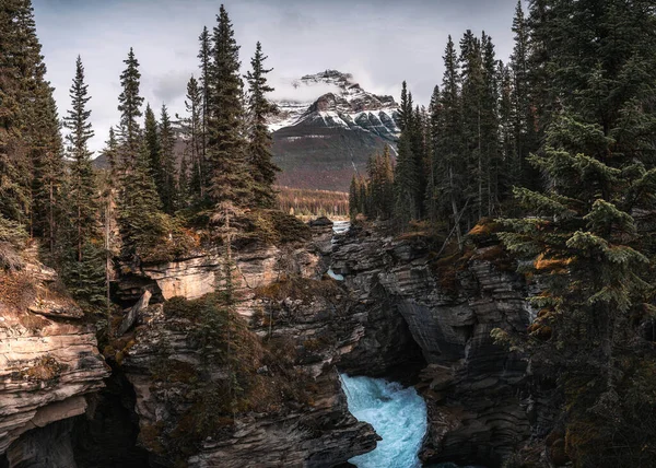 캐나다 재스퍼 공원에 바위투성이의 산들이 협곡을 흐르는 바스카 — 스톡 사진