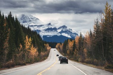 Sonbahar ormanlarında kayalık dağlarla otoyolda giden araba Jasper Ulusal Parkı, Kanada