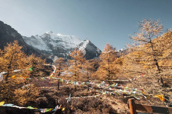 Der Heilige Berg Xiannairi Mit Herbstwald Und Gebetsfahnen Weht Yading — Stockfoto