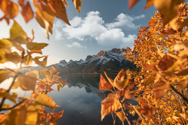 Sonnenaufgang Auf Dem Mount Lawrence Grassi Mit Herbstblättern Rundle Forebay — Stockfoto