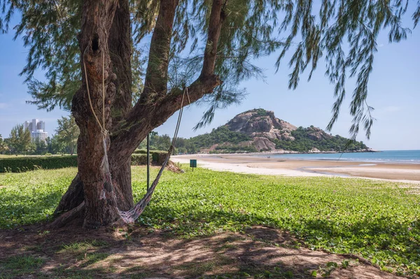 Houpací Síť Visící Stromě Horou Khao Takiab Pláží Hua Hin — Stock fotografie