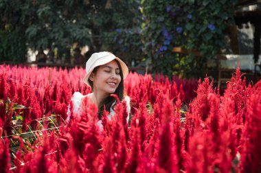 Güzel genç Asyalı kadın horozibiği kırmızı çiçek bahçesinde oturmuş eğleniyor.