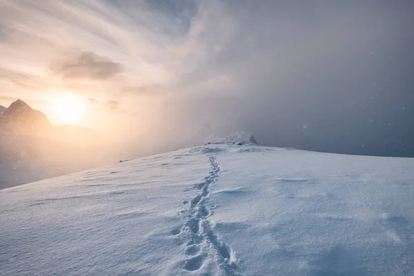 Sunrise Snowy Mountain Footprint Blizzard Senja Island Norway — Foto de Stock