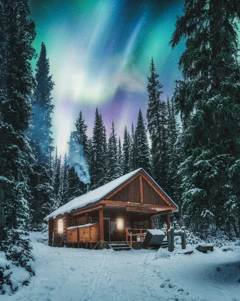 Aurora borealis, Kanada Yoho Ulusal Parkı 'ndaki çam ormanlarında karlı bir kır evinde sigara dumanı ile kaplandı.