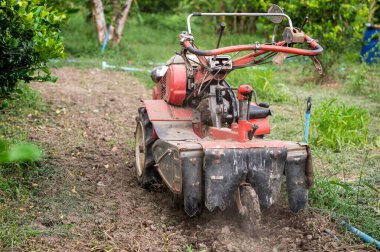 Traktör kereste tarlasında toprağı kazıyor.