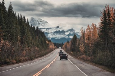 Sonbahar çam ormanlarında otoyolda araba sürerken Banff Ulusal Parkı 'nda kayalık dağlar, Alberta, Kanada
