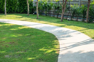 Bahçedeki yeşil çimlerin arasından geçen kıvrımlı yol güneşli