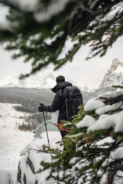 カナダ ヨーホー国立公園オパビン高原に松の葉を持つ雪の山の上に立つ男バックパッカー — ストック写真