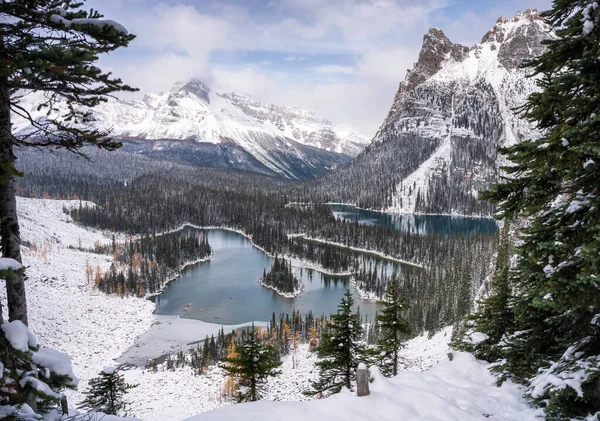 Paesaggio Dell Altopiano Opabin Del Lago Hara Inverno Nel Parco — Foto Stock