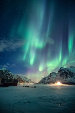 Fantastik yeşil Aurora borealis, Norveç 'in Lofoten Adaları' nda kışın karlı gökyüzünde parlayan yıldızlı kuzey ışıkları.