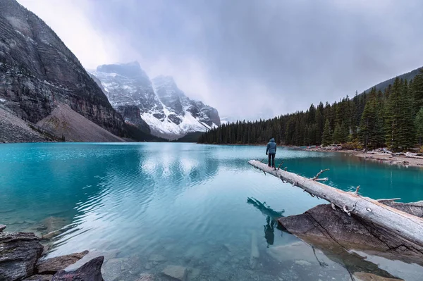 Uomo Viaggiatore Piedi Legno Con Montagne Rocciose Cupo Moraine Lake — Foto Stock