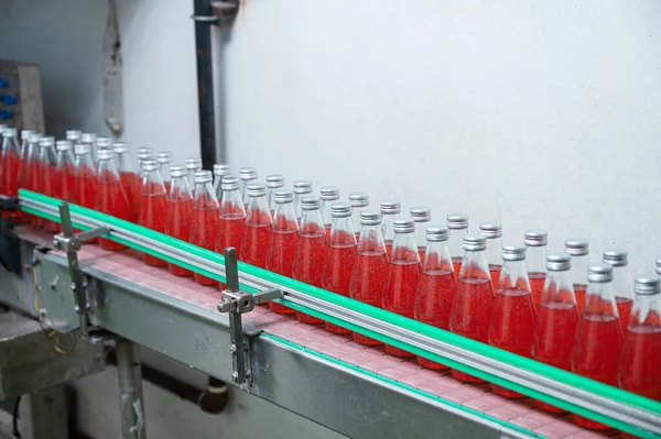 Glass bottled red juice on steel conveyor of production line in beverage processing plant