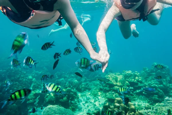 在热带海域度假时 一对年轻的亚洲夫妇牵着手与一群鱼儿一起潜水 — 图库照片