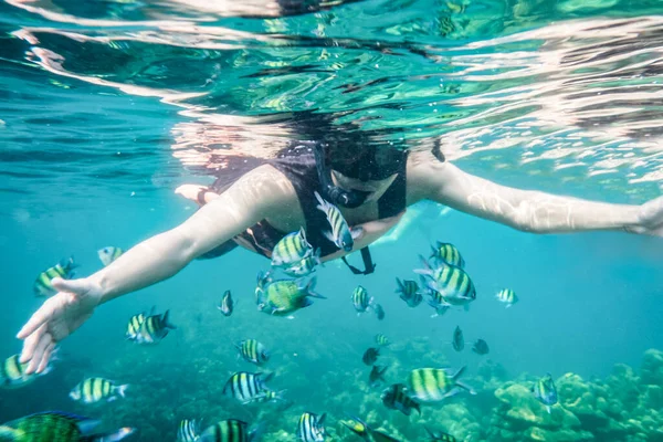 Turista Šnorchlování Školou Ryb Tropickém Moři Dovolené — Stock fotografie