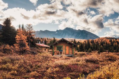 Sonbahar ormanlarında kayalık dağları olan ahşap kulübeler Assiniboine il parkında, BC, Kanada