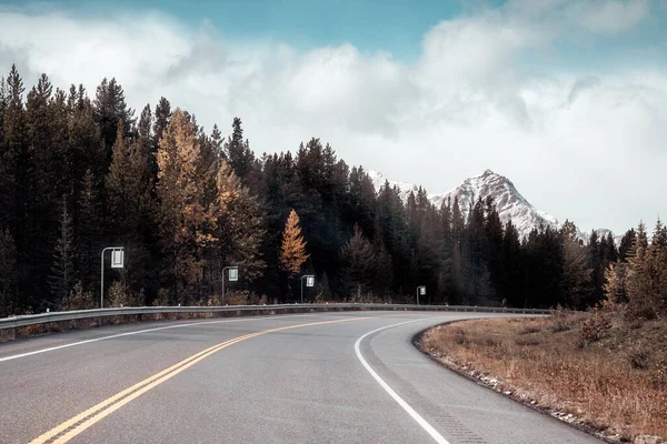 Promenade Voiture Sur Route Avec Montagnes Rocheuses Pinèdes Automne Parc — Photo