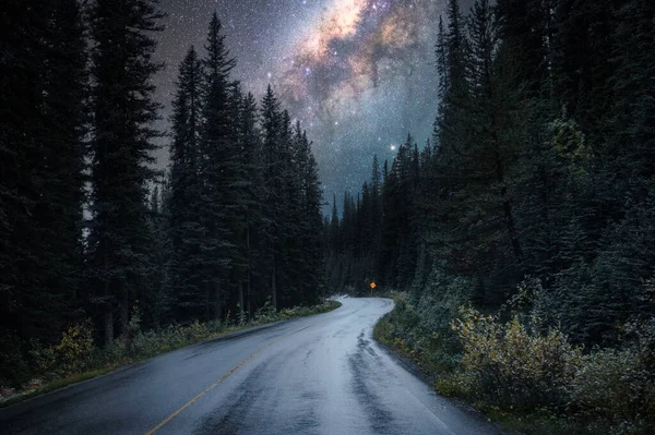 Voie Lactée Avec Route Goudronnée Forêt Pins Dans Parc National — Photo