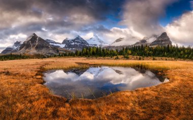 Assiniboine Dağı 'nın manzarası Kanada' nın British Columbia şehrinde sonbaharda altın çayır ile çevrili gölete yansıdı.