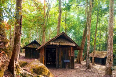 Tayland 'ın ulusal parkındaki tropikal yağmur ormanlarında kırmızı akçaağaç yapraklı yıpranmış ahşap kulübenin güzel manzarası. Phu Hin Rong Kla 'daki Siyasi ve Askeri Okul