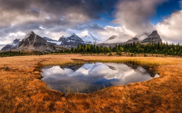 Assiniboine Dağı 'nın manzarası Kanada' nın British Columbia şehrinde sonbaharda altın çayır ile çevrili gölete yansıdı.