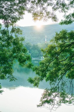 Yeşil ağaç dalları durgun suya yansıyor güneş ışığı parlıyor ve Ang Kaew Barajı 'ndaki sakin açık hava manzarası