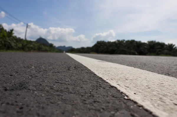 asfalt yol dokulu beyaz şerit ve kapatın