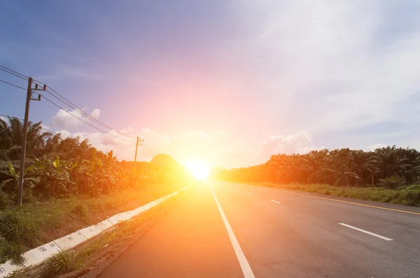 asfalt yol dokulu beyaz şerit ve