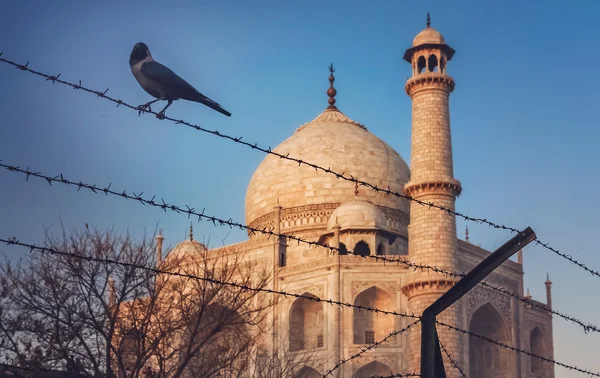 Taj Mahal behind barbed wire — Stock Photo, Image