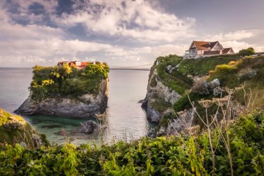 Towan rock ve plaj, Newquay