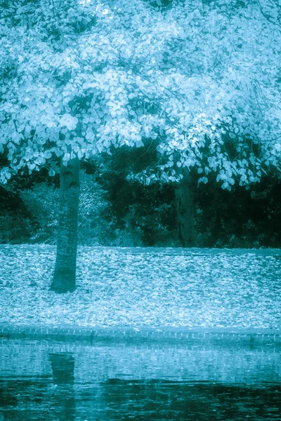 Mystiska landskap under våren — Stockfoto