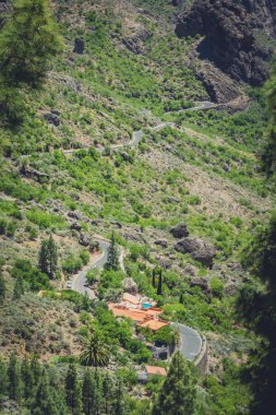 gran canaria içinde dağ yolu