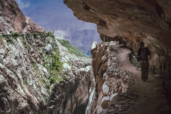 Steiniger Weg zur Almwiese — Stockfoto