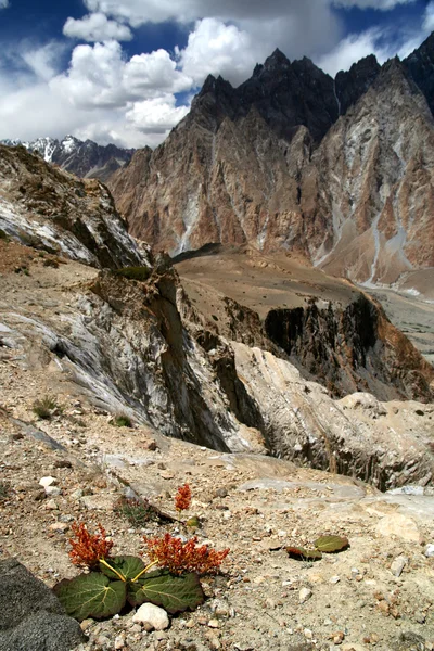 Stunning Karakorum mountains — Stock Photo, Image