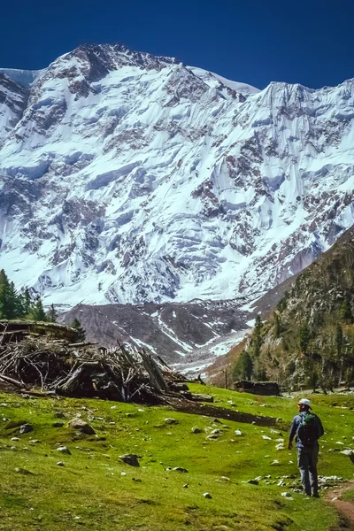 Op de trail naar Nanga Parbat — Stockfoto