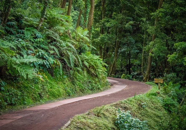 Caminho para a Caldeira Velha — Fotografia de Stock