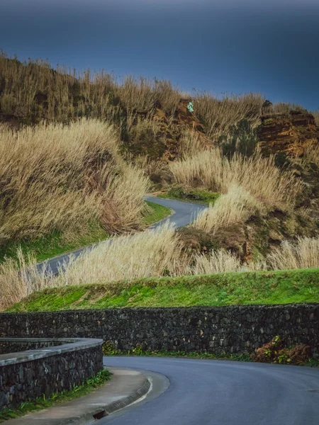 Route vallonnée aux Açores — Photo