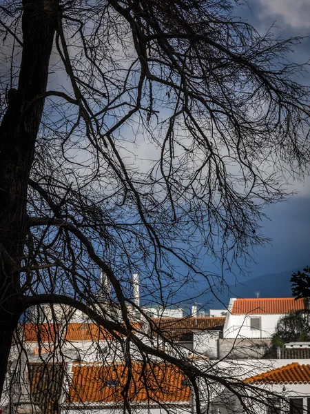 Střechy z Ponta Delgada — Stock fotografie