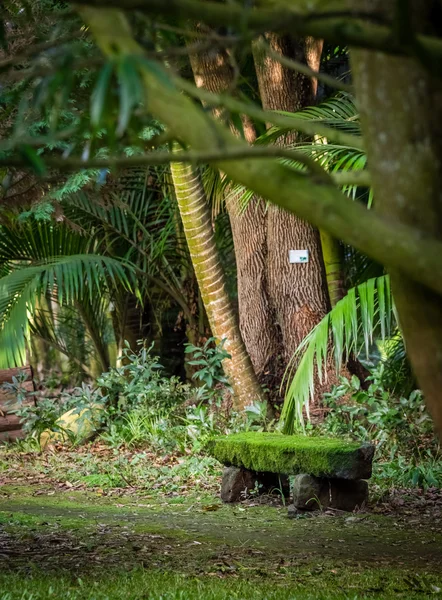 Moss täckt bänk i en park — Stockfoto