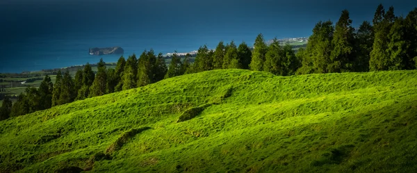 Panoramic landscape of Sao Miguel — Stock Photo, Image